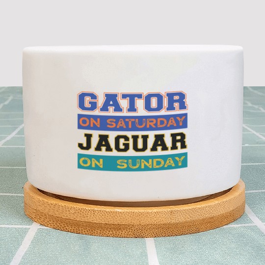Gator On Saturday Jaguar On Sunday Jacksonville Fo Plant Pots