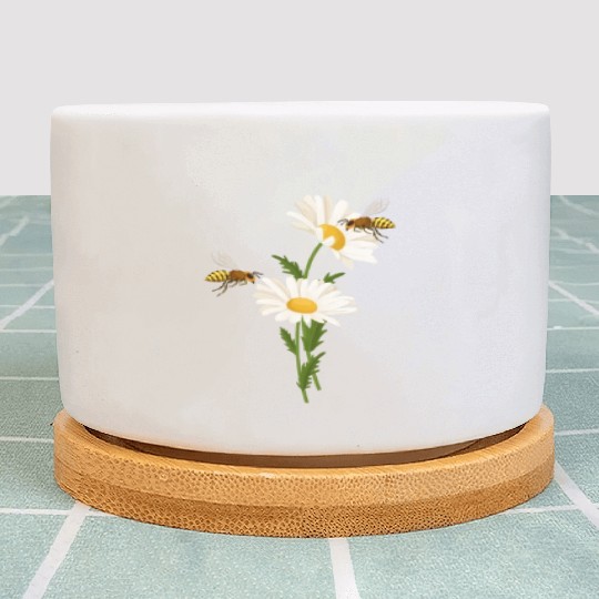 Marguerites Daisy Summer Daisies Flower Garden Plant Pots