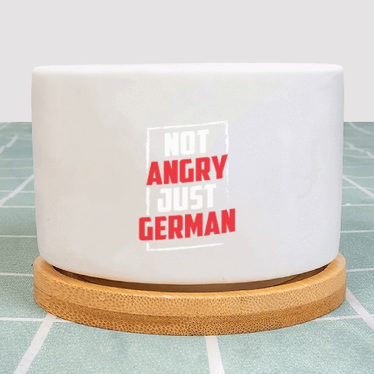 Not Angry Just German Teacher Voice Germany Plant Pots