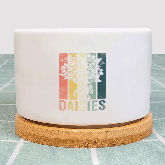 Marguerites Daisy Summer Daisies Flower Garden Plant Pots