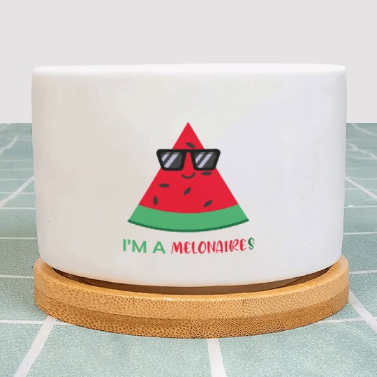I'm a Melonaire Funny Fruits Watermelon Pun Plant Pots