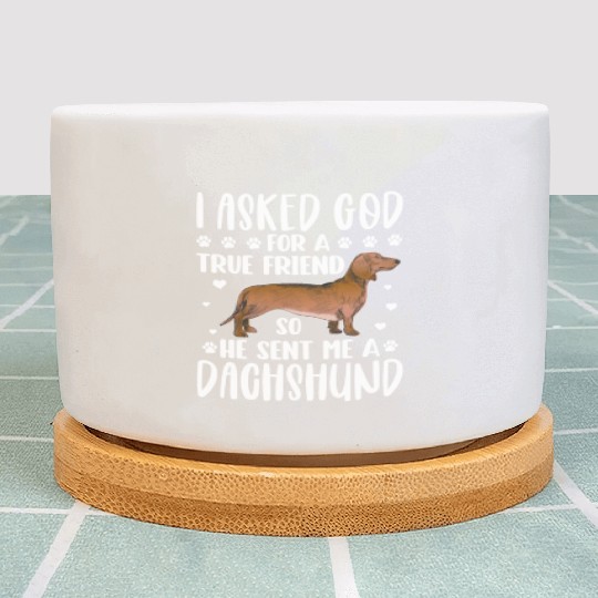 I Asked God For A True Friend He Sent Me Dachshund Plant Pots