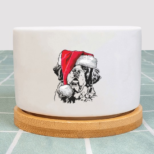 Santa Saint Bernard Dog Christmas Wilsigns Plant Pots