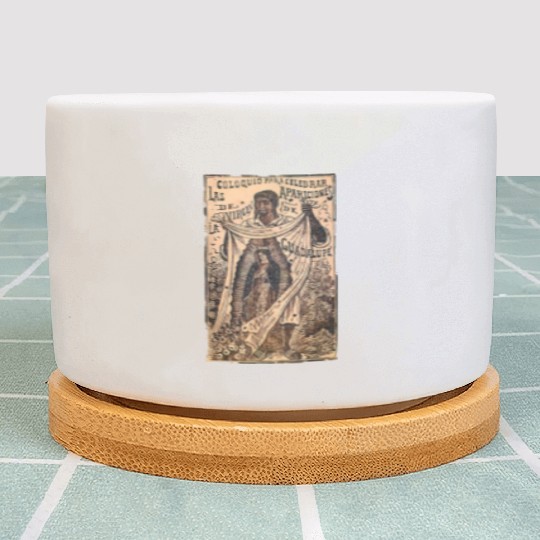 St Juan Diego Our Lady of Guadalupe Vintage Mary C Plant Pots