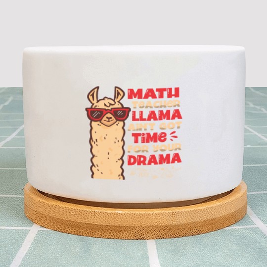 Math Teacher Llama Ain't Got Time For Your Drama Plant Pots