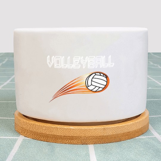 Volleyball Plant Pots