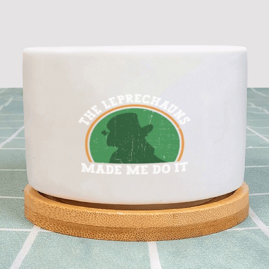 The Leprechauns Made Me Do It - St Patricks Day Plant Pots