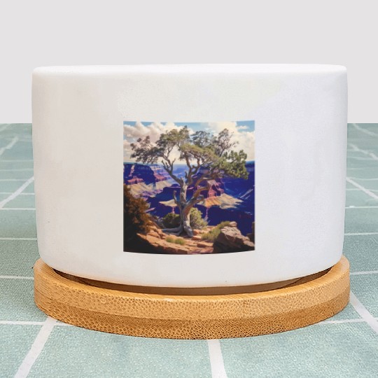 Mountain Hiking Camping Trip National Park Visit Plant Pots