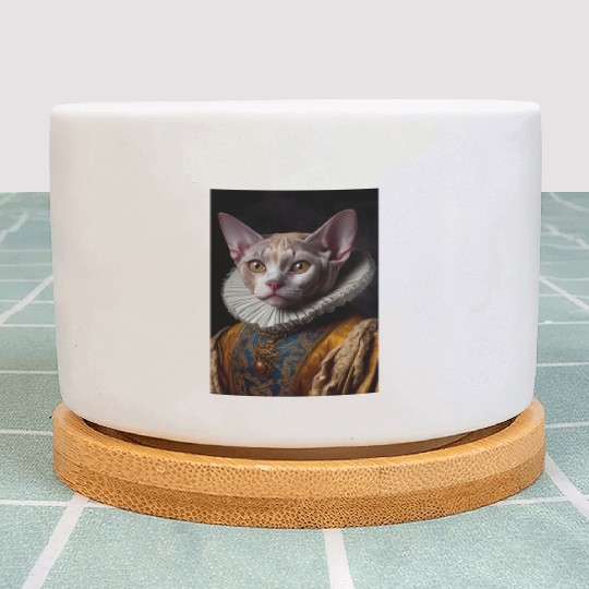 Black Queen Devon Rex Cat Breed Portrait Royal Ren Plant Pots