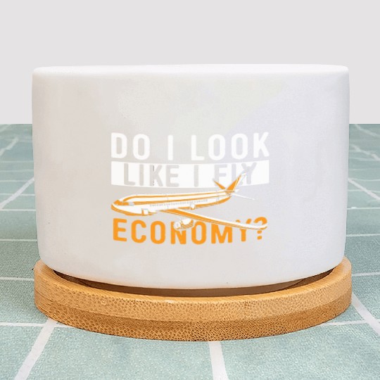 Do I Look Like I Fly Economy First Class Frequent Plant Pots