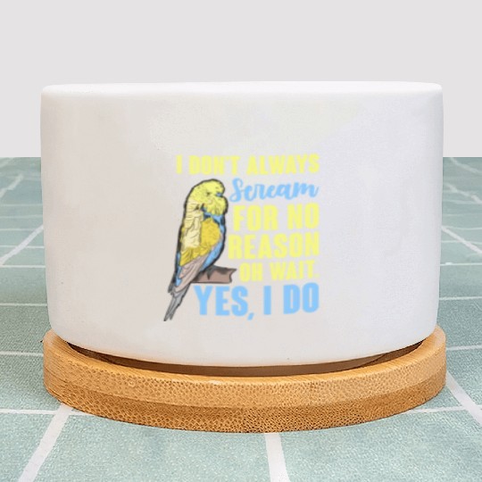 I Don't Always Scream For No Reason Oh Wait Plant Pots