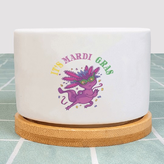 Axolotl Mardi Gras ITS MARDI GRAS AXOLOTL Plant Pots