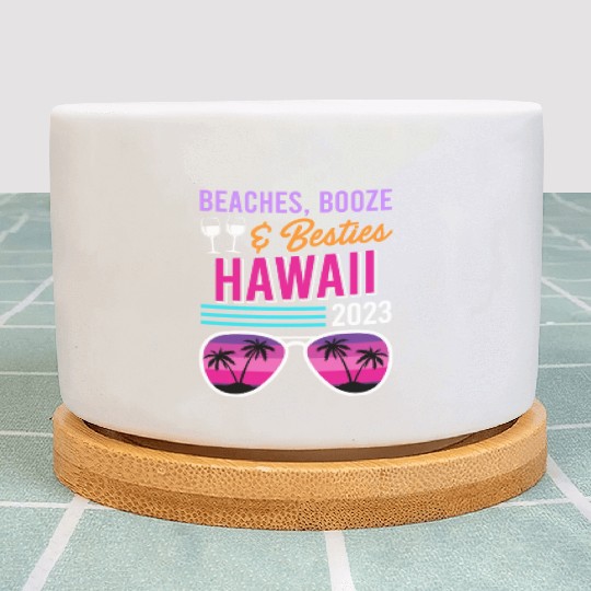 Beach Booze Besties Hawaii Vacation Spring Break Plant Pots