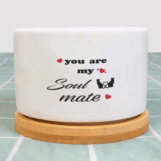 You are my soulmate - happy valentine's day Plant Pots