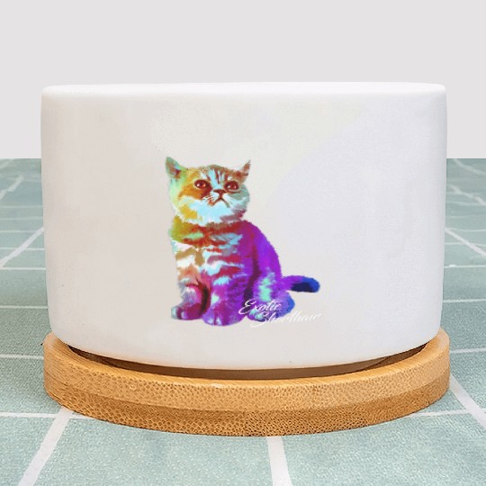 Colorful Exotic Shorthair Cat Funny Kitties Lover Plant Pots