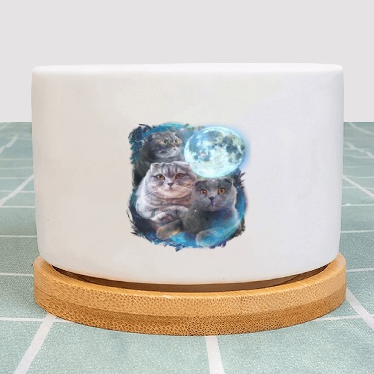 3 Moon Scottish Fold Cats Animal Lovers Humor Cool Plant Pots