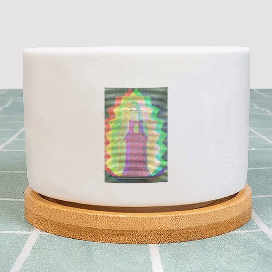 Lady Guadalupe Plant Pots | Guadalupe Plant Pots |VirginMary