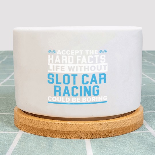 Life Without Slot Car Racing Could Be Boring Plant Pots