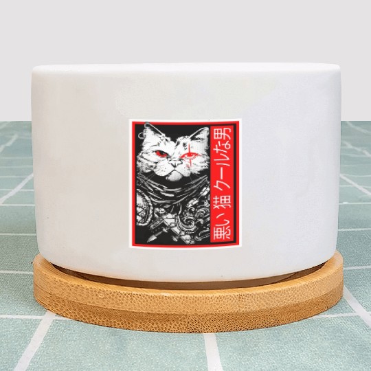 Samurai Cat: "Bad Cat, Cool Dude" with Japanese Te Plant Pots
