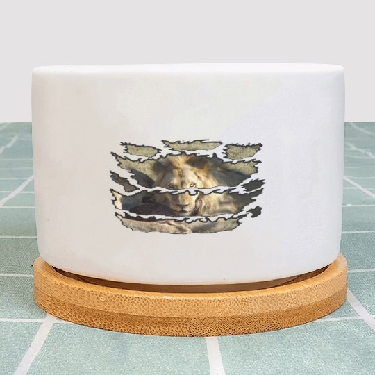 Ripped Wildlife Lion Stare Plant Pots