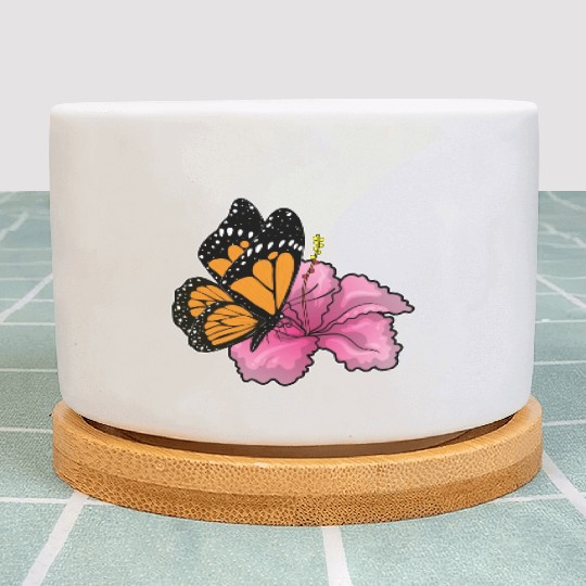 Butterfly Hibiscus Flower Plant Pots