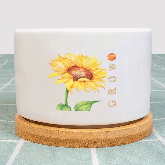 Natural Growth of Sunflower Lovers, Summer Spring Plant Pots