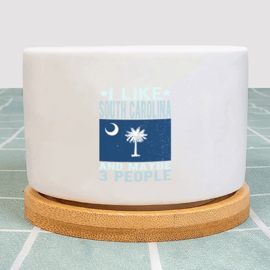 South Carolina Flag US State Plant Pots