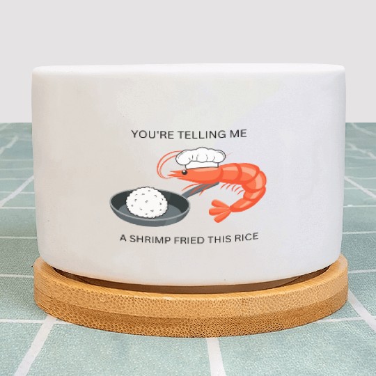 Youre Telling Me A Shrimp Fried This Rice Plant Pots