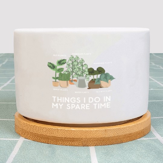 Plants Leisure Potted Plant Plant Pots