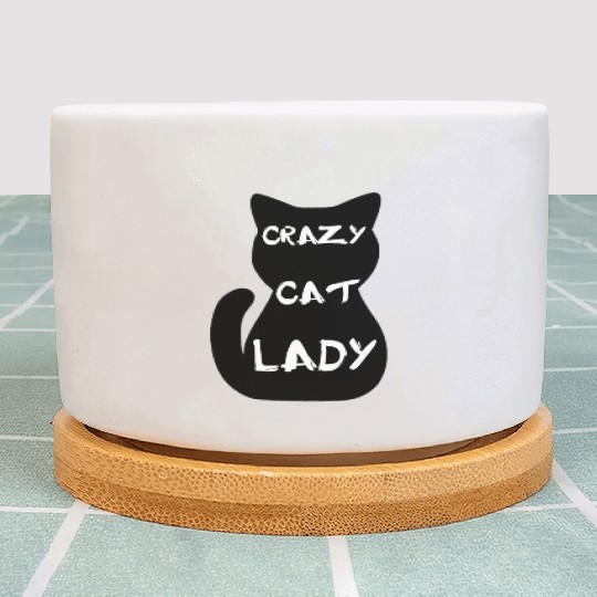 Crazy cat lady Plant Pots