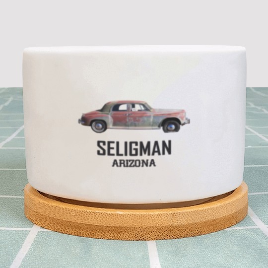 Old car city of Seligman in Arizonna, US Route 66 Plant Pots