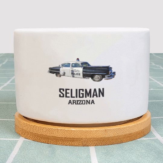 Old car city of Seligman in Arizonna, US Route 66 Plant Pots