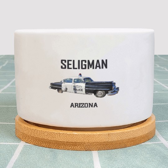 Old car city of Seligman in Arizonna, US Route 66 Plant Pots