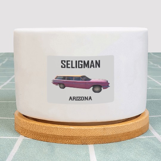 Old car city of Seligman in Arizonna, US Route 66 Plant Pots