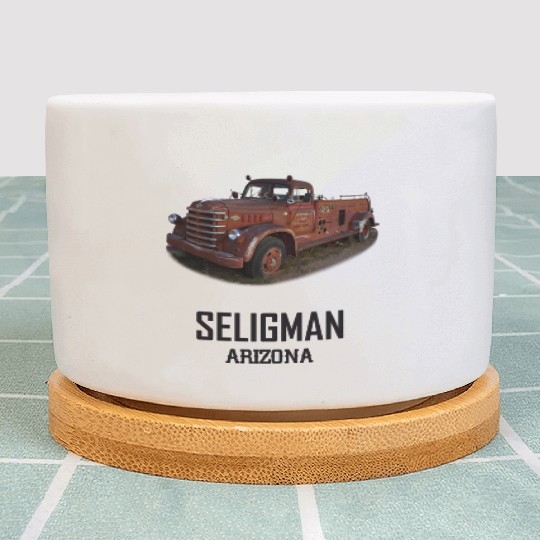 Old car city of Seligman in Arizonna, US Route 66 Plant Pots