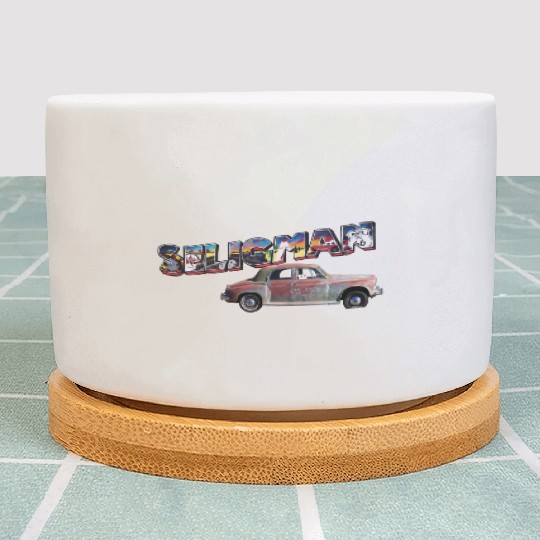 Old car city of Seligman in Arizonna, US Route 66 Plant Pots