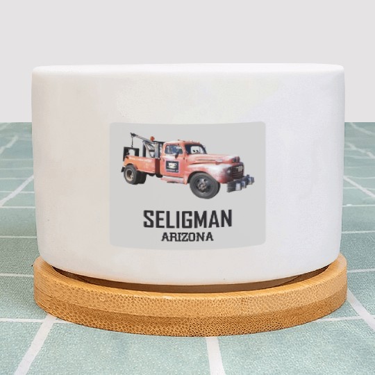 Old car city of Seligman in Arizonna, US Route 66 Plant Pots