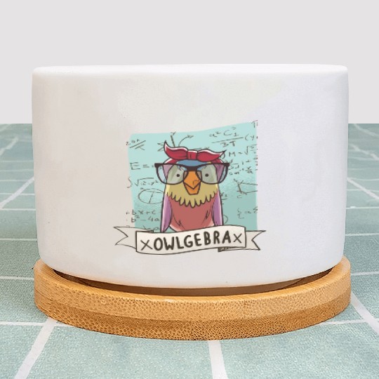 Owlgebra Owl Nerd Math Teacher Plant Pots