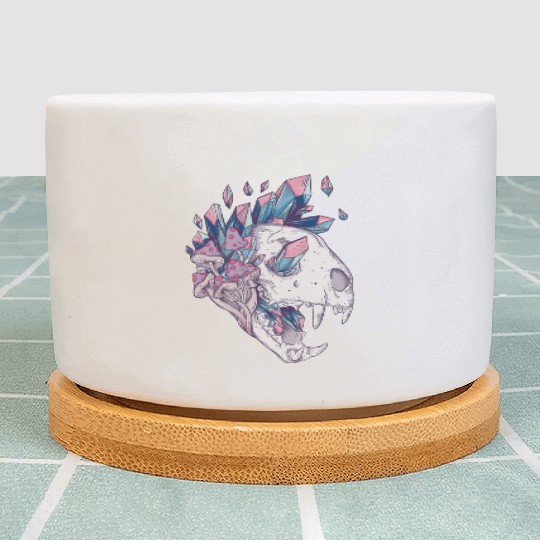 Crystal Cat Skull Plant Pots