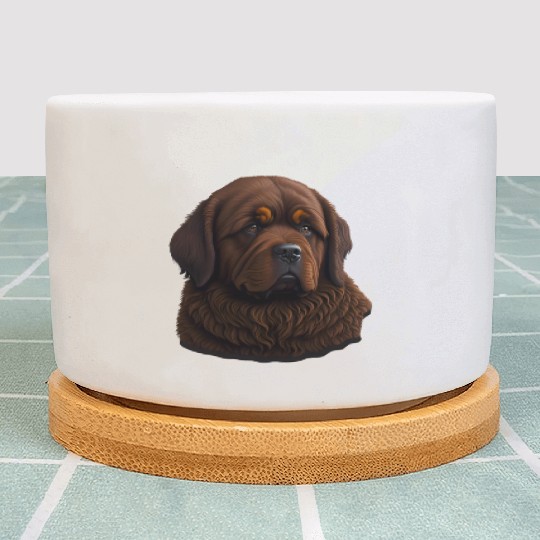 Brown Newfie Plant Pots