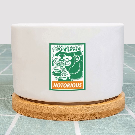 Notorious Irish Gorilla Plant Pots