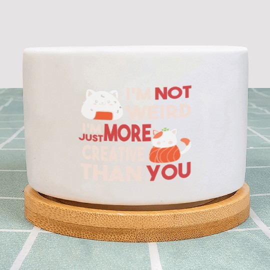 I m Not Weird I m Just More Creative Than You Plant Pots
