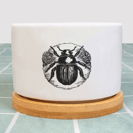 Bug Beetle Insect Plant Pots