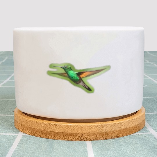 Green Hummingbird Illustration Bird Lover Plant Pots