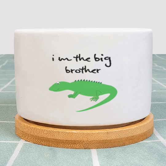 big brother Plant Pots