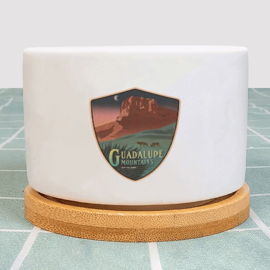 guadalupe mts national park Plant Pots