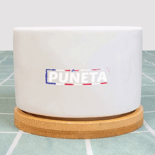 Patriotic Puerto Rico Puneta Flag Plant Pots