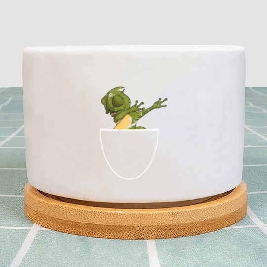 Dabbing Lizard Reptile Animal Pocket Chameleon Plant Pots