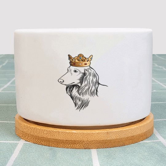 Longhaired Dachshund Dog Wearing Crown Plant Pots