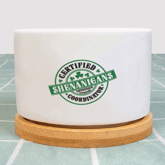 Certified Shenanigans Coordinator St Patric Day Plant Pots